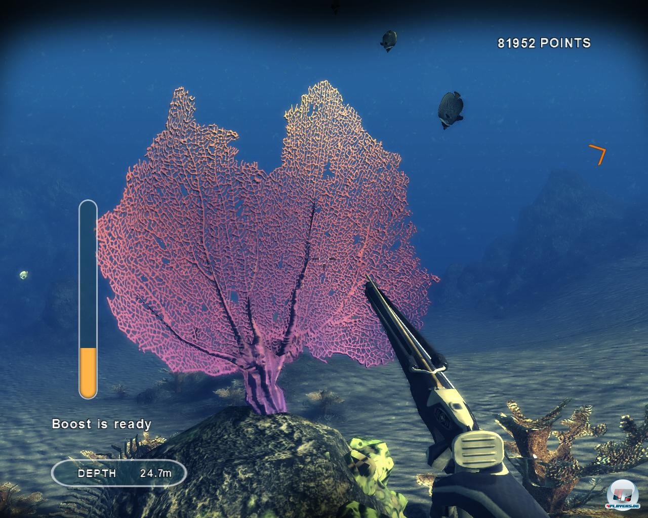 Korallen wie diese Riesen-Gorgonie sind ansprechend dargestellt.