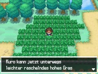 Wilde Pokémon verstecken gern im hohen Gras.
