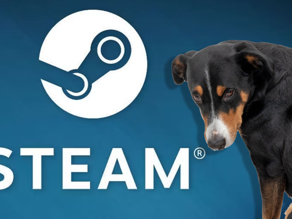 Ein niedlicher Hund steht vor dem Steam-Logo und schämt sich
