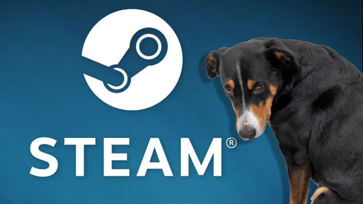 Ein niedlicher Hund steht vor dem Steam-Logo und schämt sich