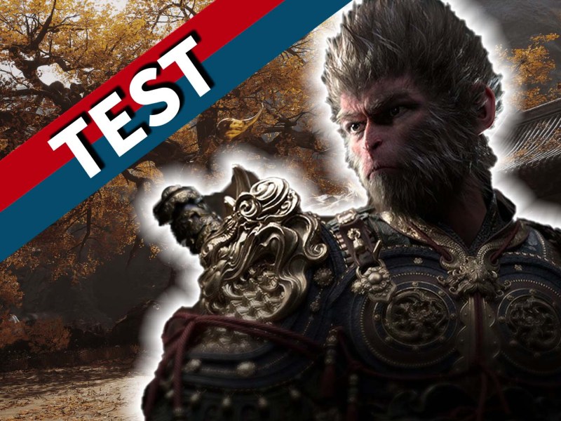 Der Affe aus Black Myth Wukong vor einem orangenen Hintergrund mit rot-blauem Banner.