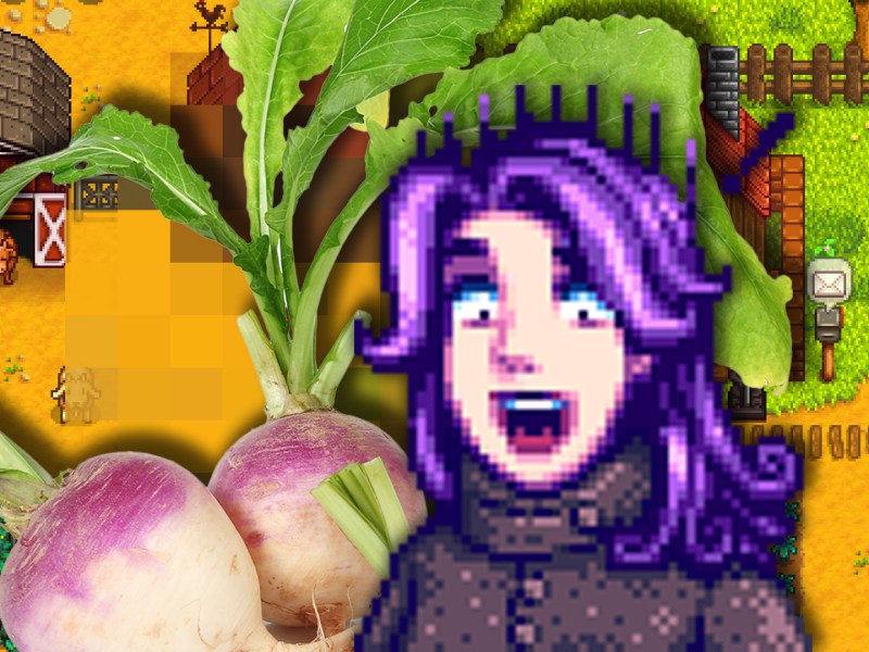 Abigail aus Stardew Valley neben einem Bild realer Rüben