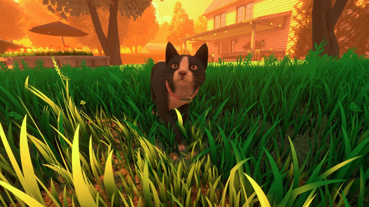 Copycat: Malerisches Katzen-Cozy-Game feiert Release bei Steam - 4P.de