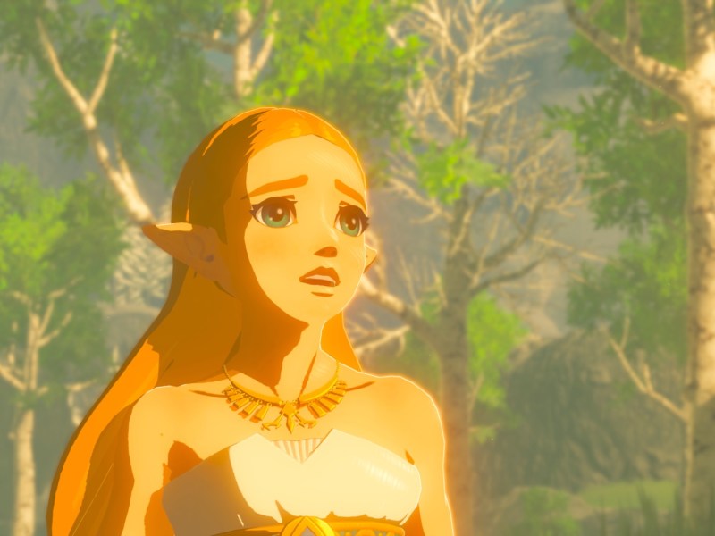 Ein Bild von Zelda in Breath of the Wild.