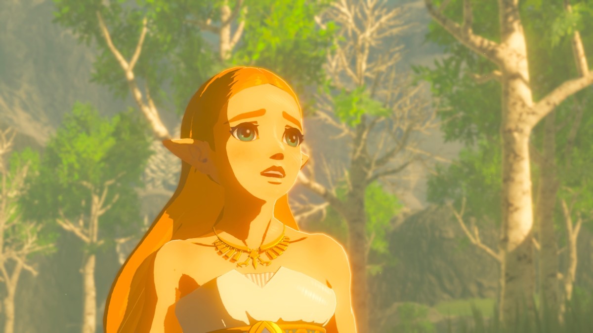 Ein Bild von Zelda in Breath of the Wild.